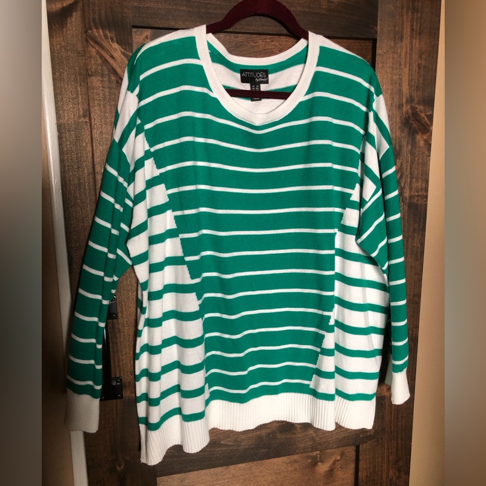 Soft knit sweater by Attitudes by Renee